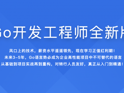 Go开发工程师全新版|2022年