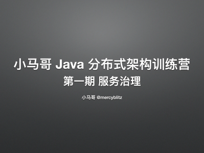 小马哥 Java 分布式架构训练营 – 第一期 服务治理