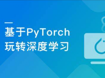 Pytorch框架全流程开发医学影像端到端判别实战项目 | 完结